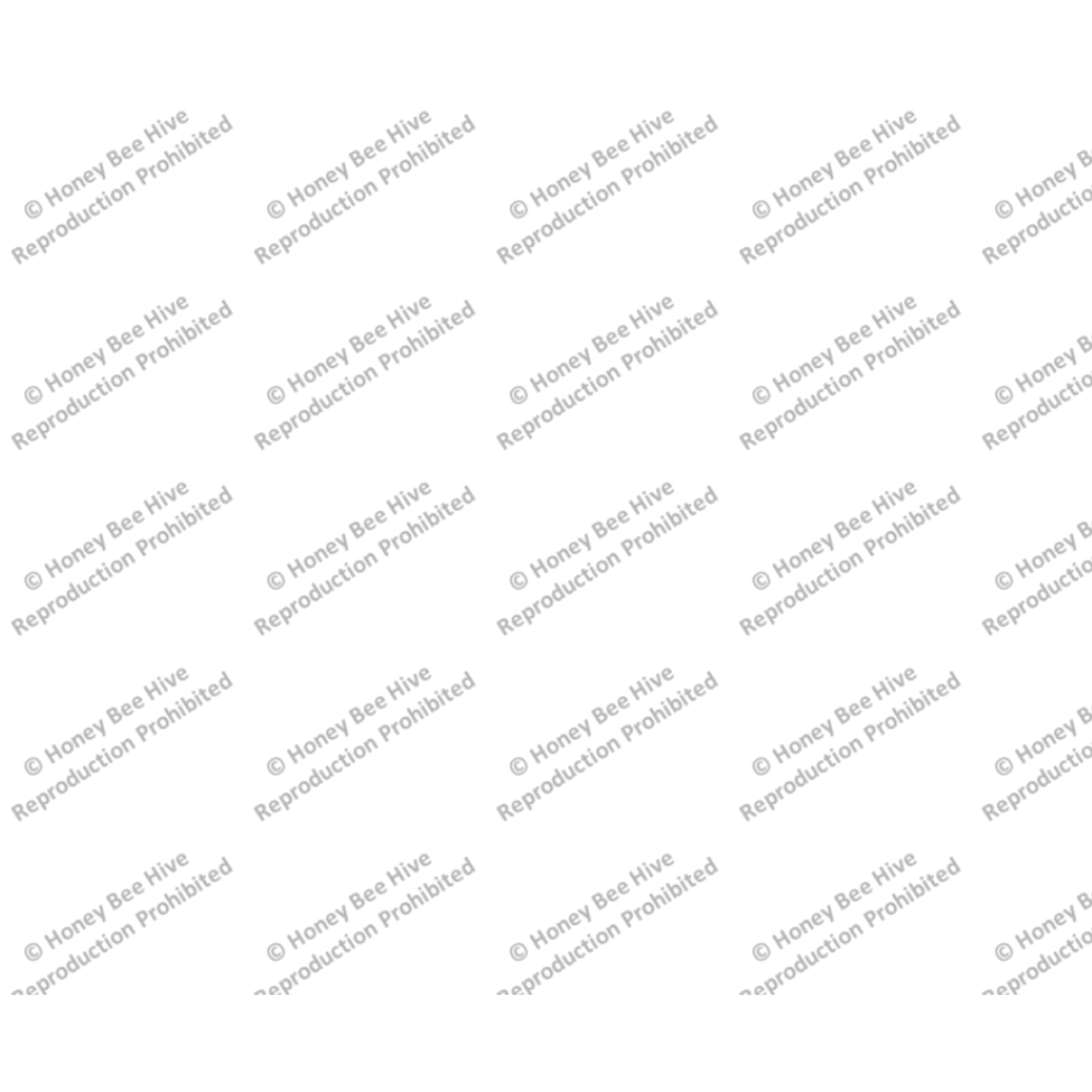 Heroic Scrolls, rug hooking pattern