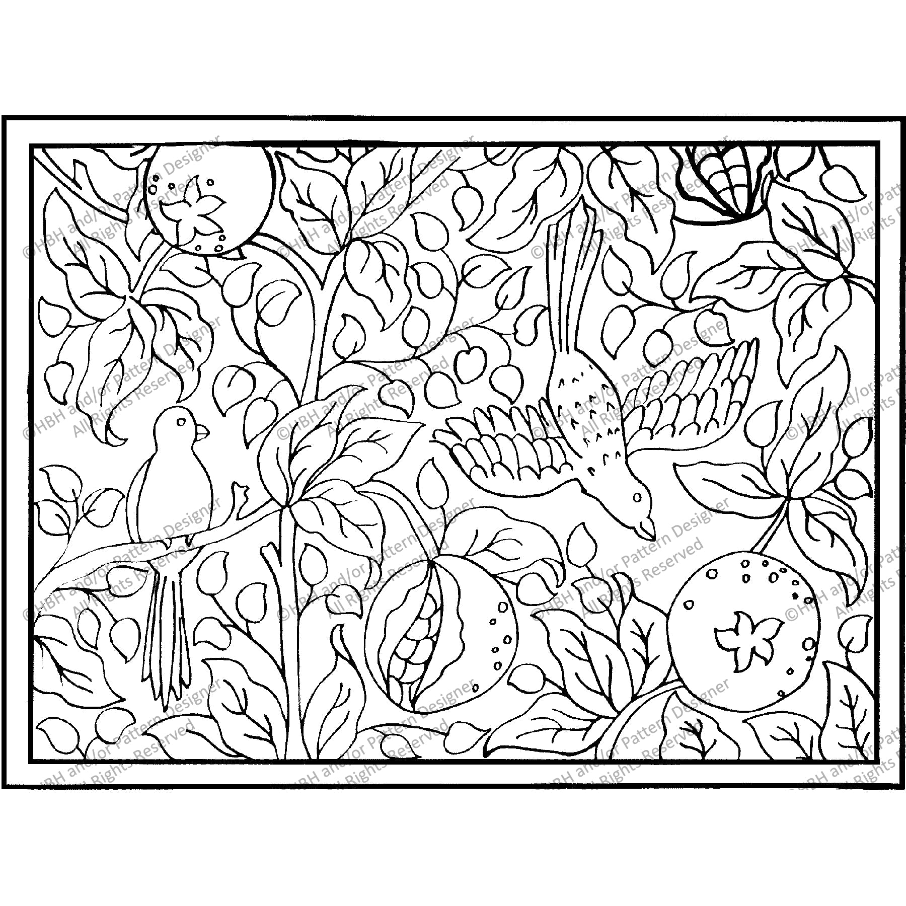 Morris Birds and Poms with Border, rug hooking pattern