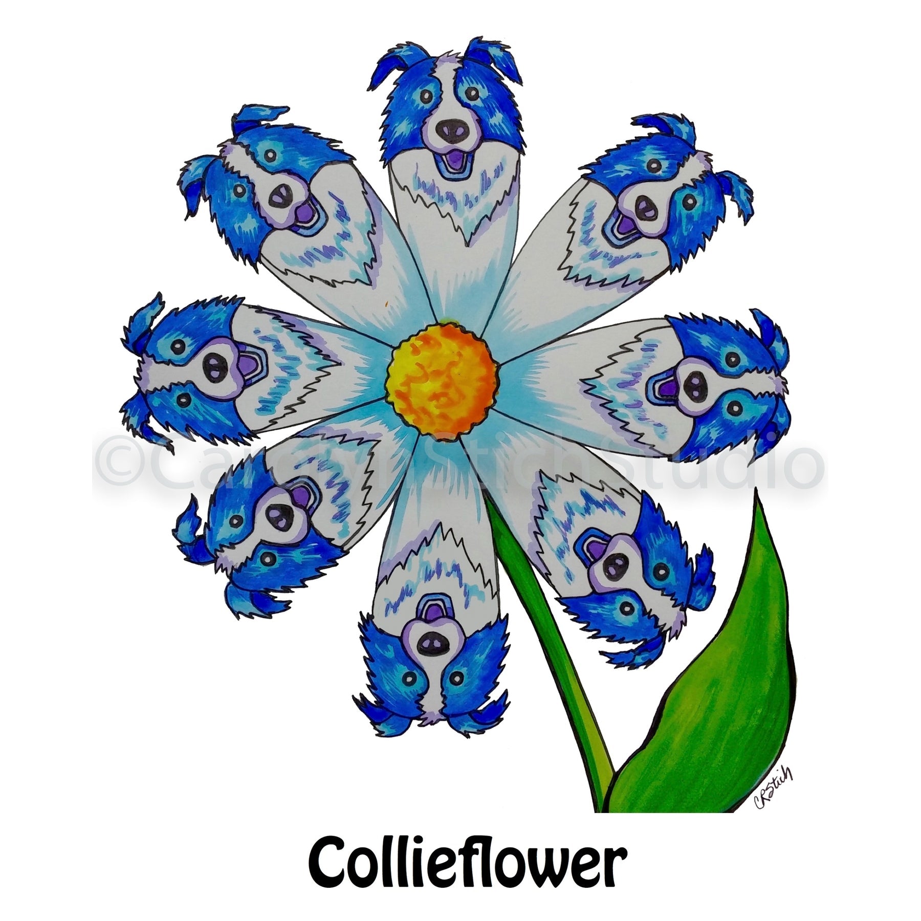Collieflower, rug hooking pattern