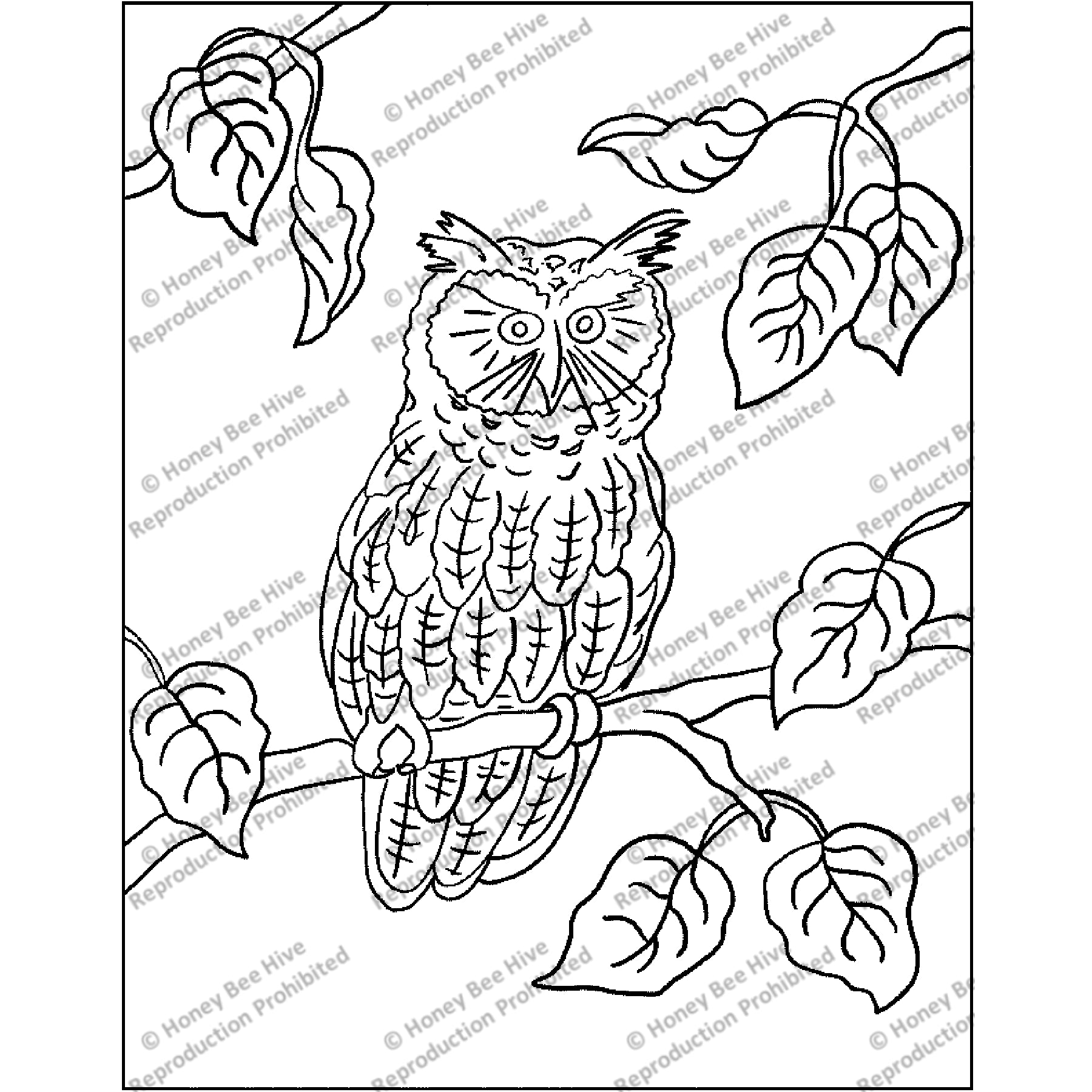 Screech Owl, rug hooking pattern