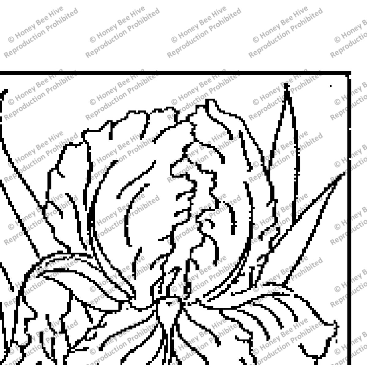 Iris O'Keefe, rug hooking pattern