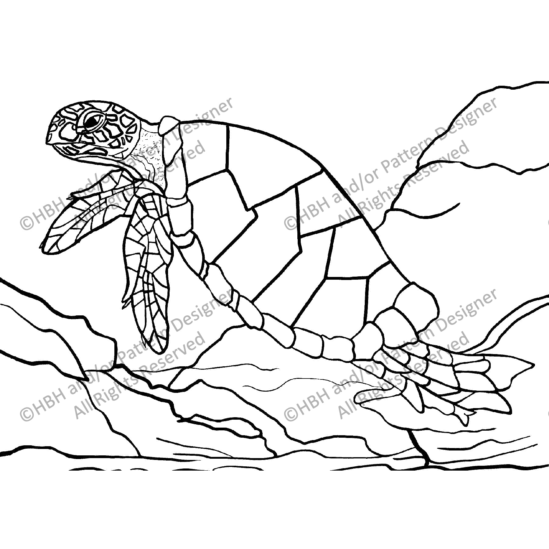 Hook Nosed Turtle, rug hooking pattern