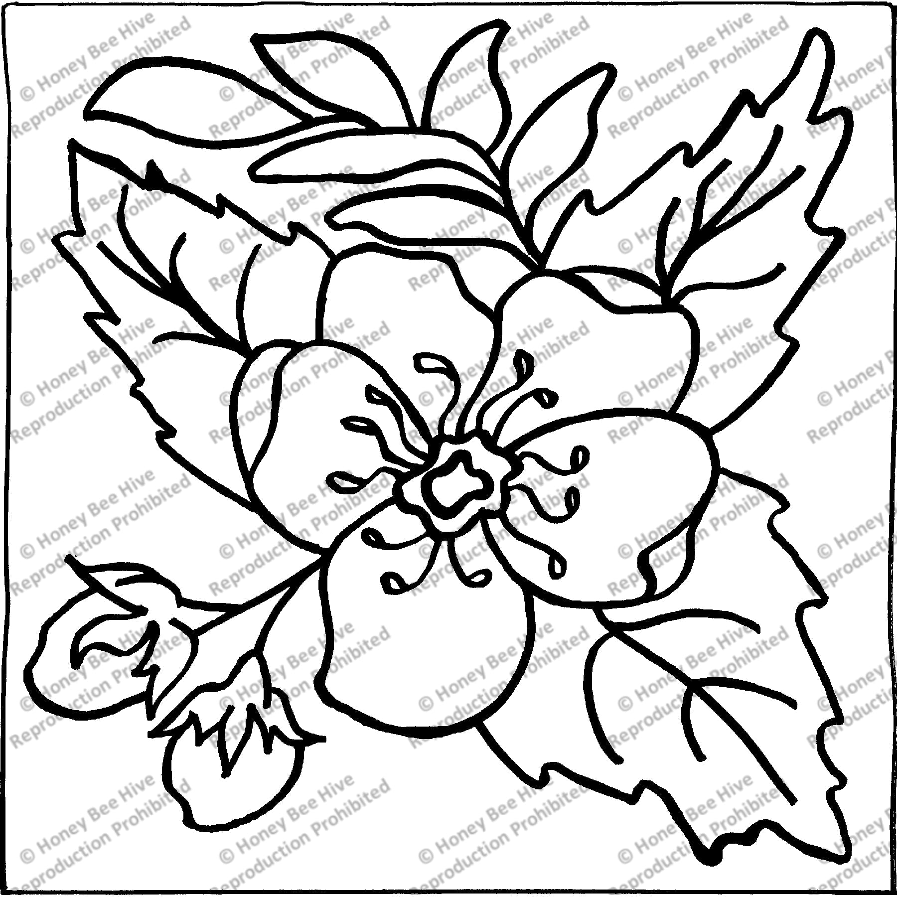 Wild Rose - No Scroll, rug hooking pattern