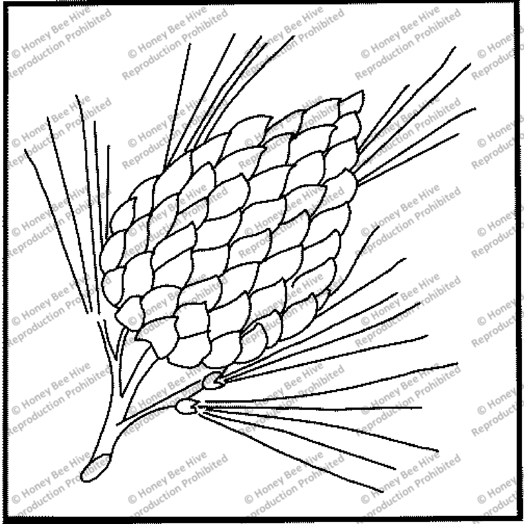 Pine Cone, rug hooking pattern