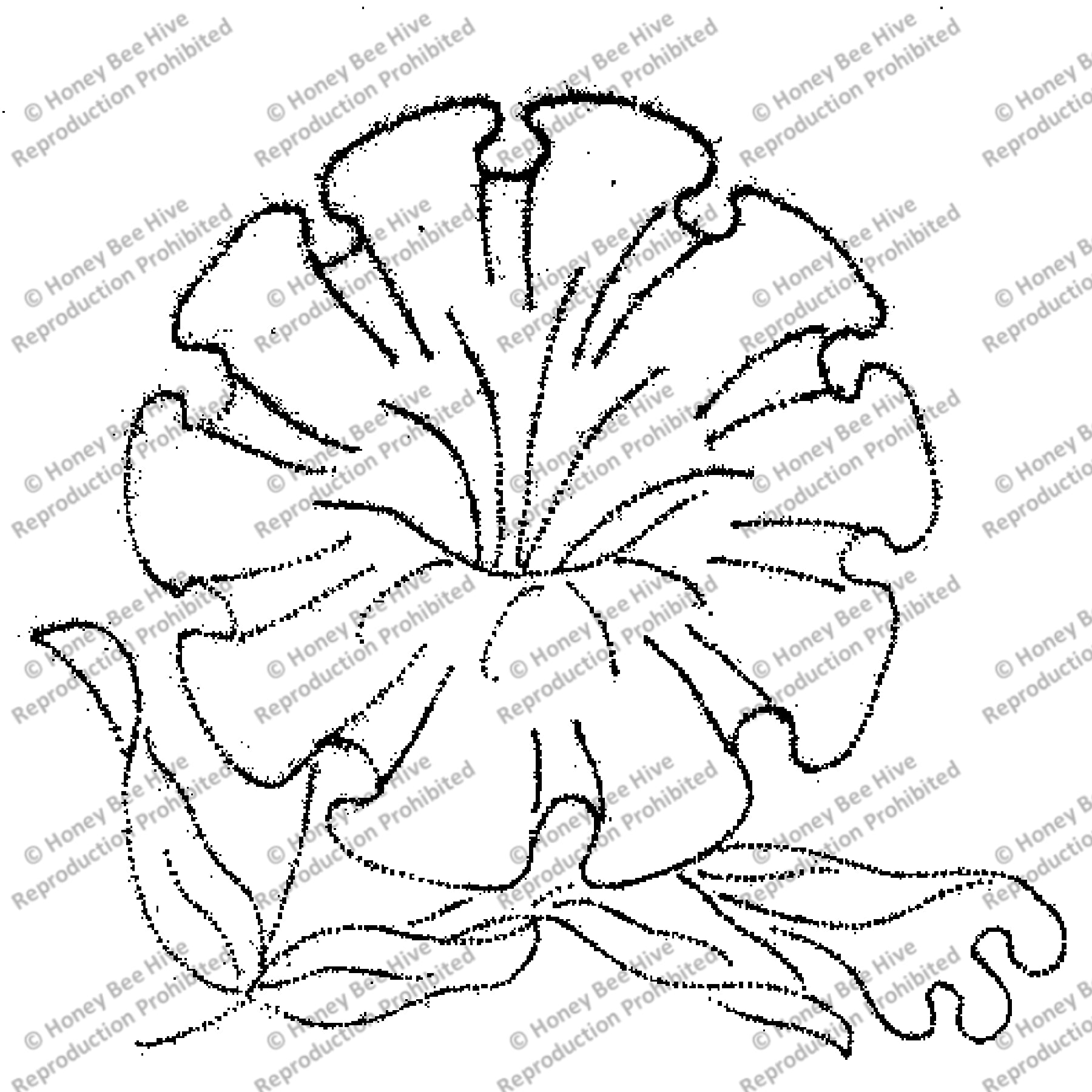 Ruffled Petunia, rug hooking pattern