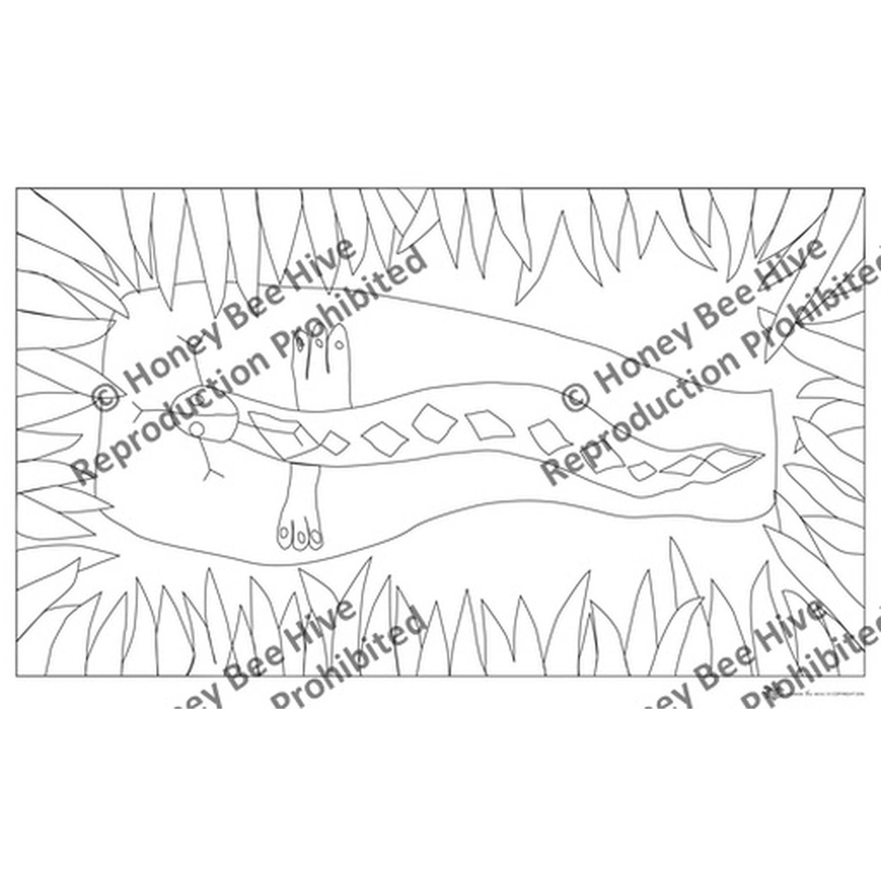 Alex Snake, rug hooking pattern