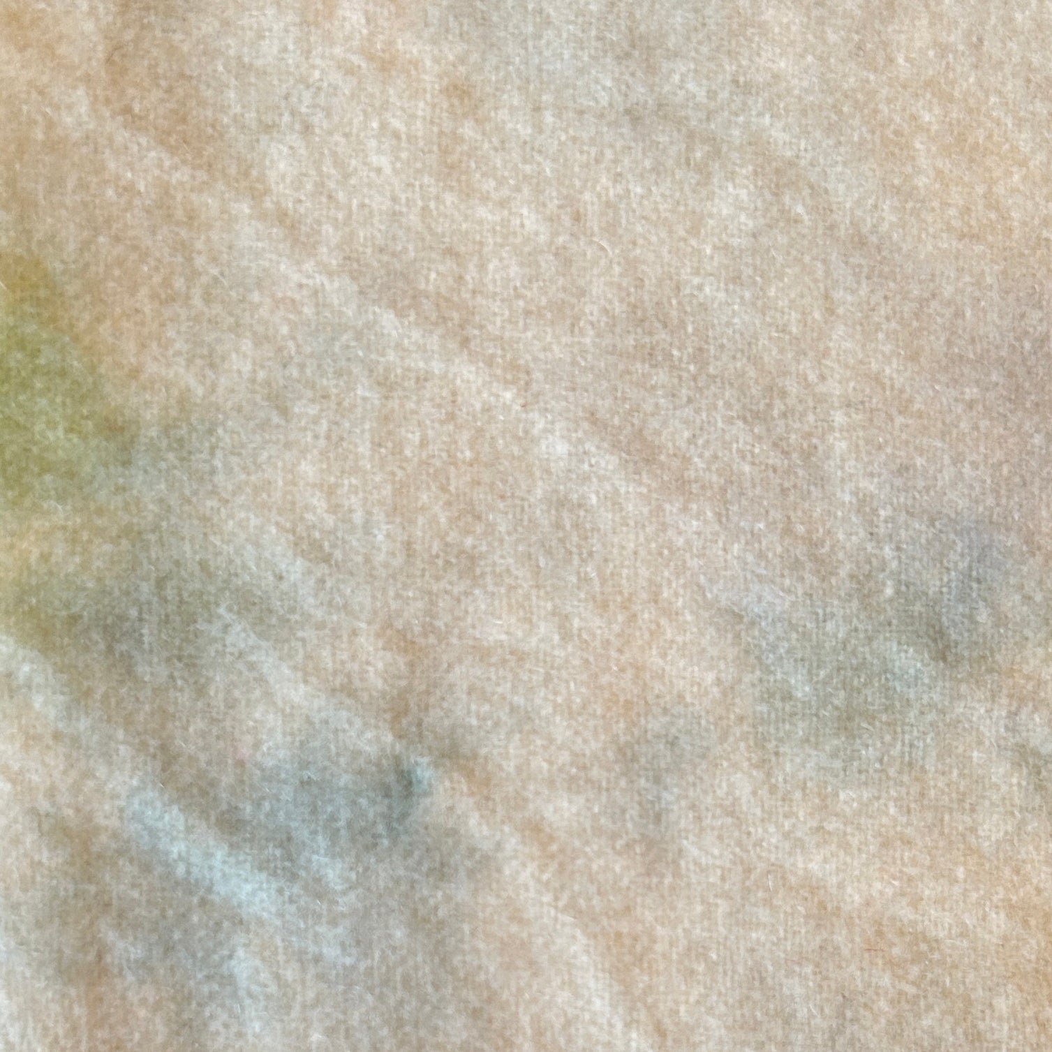 Lichen Spot - cdb Studios Hand Dyed Wool for Rug Hooking (cdb1028)