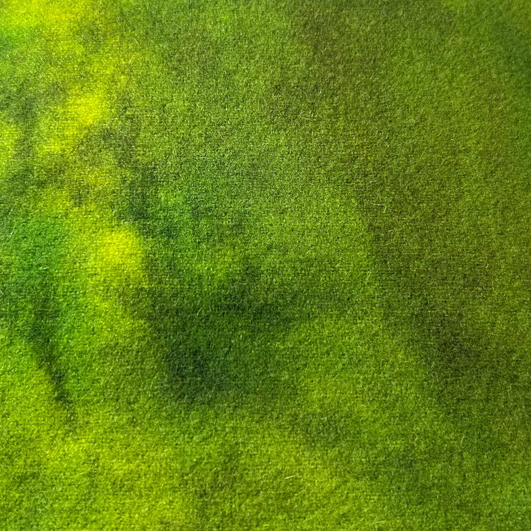 Emerald City Spot - cdb Studios Hand Dyed Wool for Rug Hooking