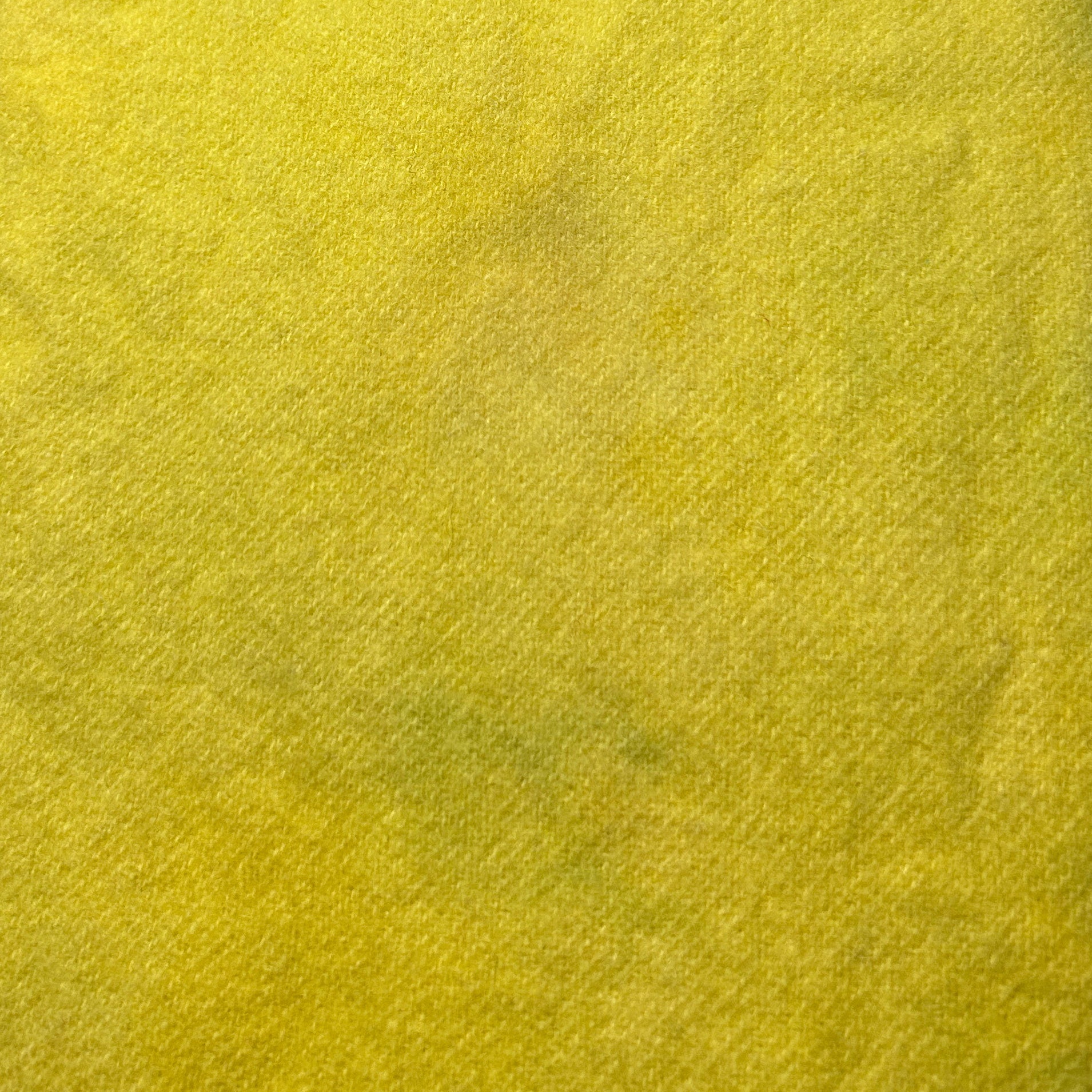 Citron Spot - cdb Studios Hand Dyed Wool for Rug Hooking