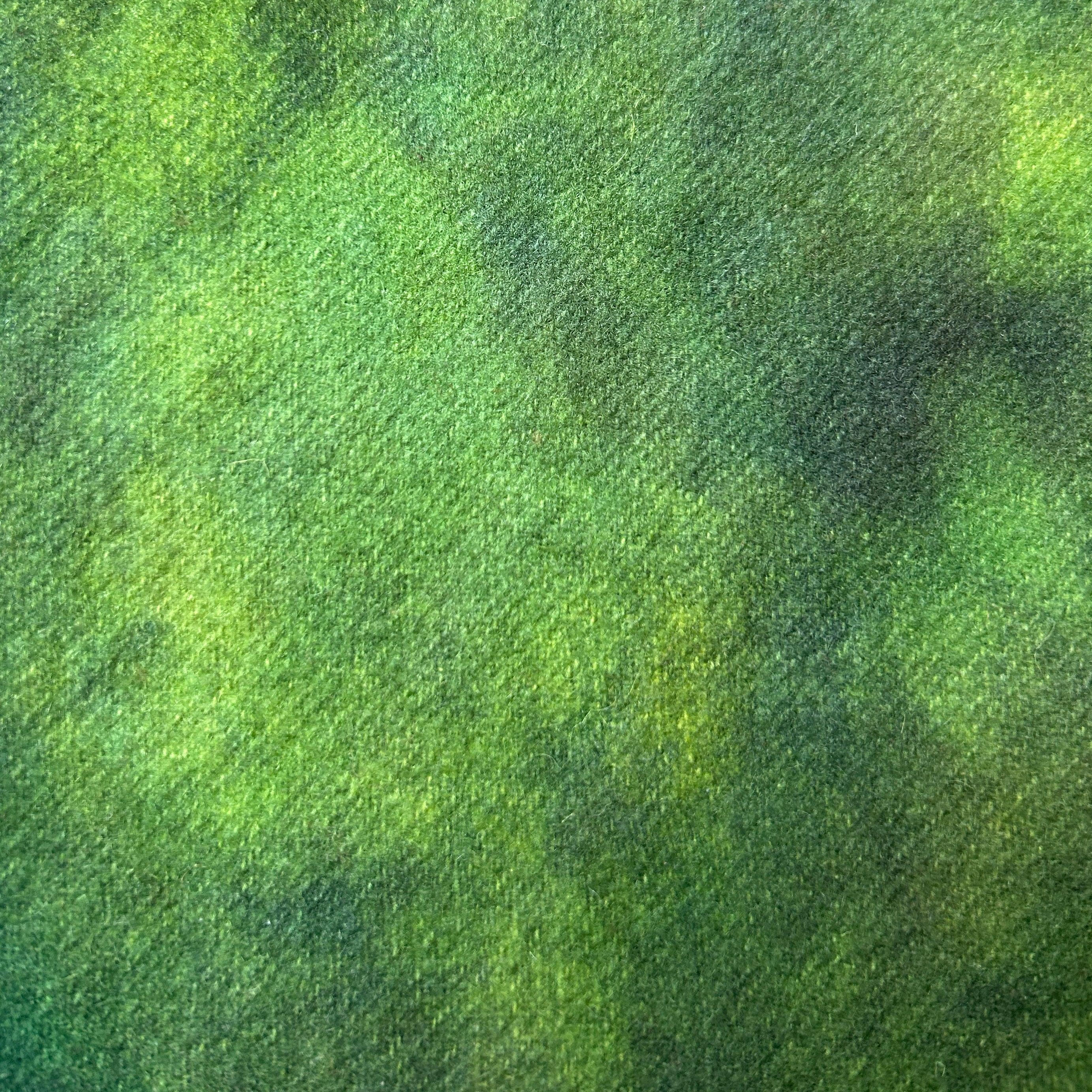 Canopy Spot - cdb Studios Hand Dyed Wool for Rug Hooking