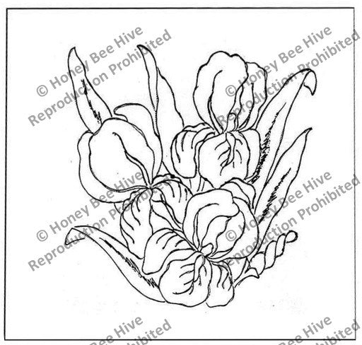 CS518: Iris, Offered by Honey Bee Hive