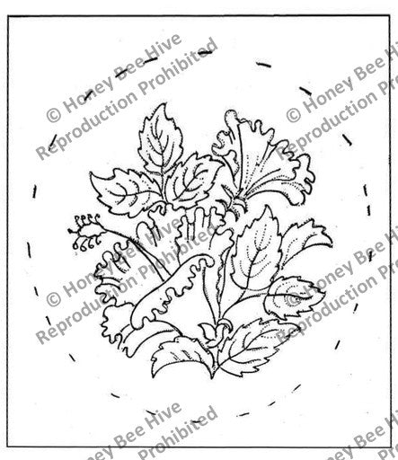 CS535-B: Hibiscus, Offered by Honey Bee Hive