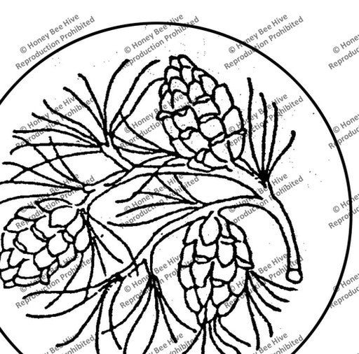 CS566: Pinecones, Offered by Honey Bee Hive