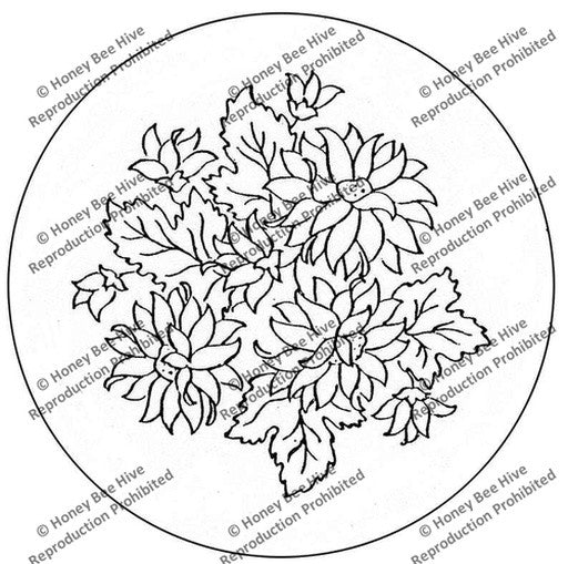 CS580: Mums, Offered by Honey Bee Hive