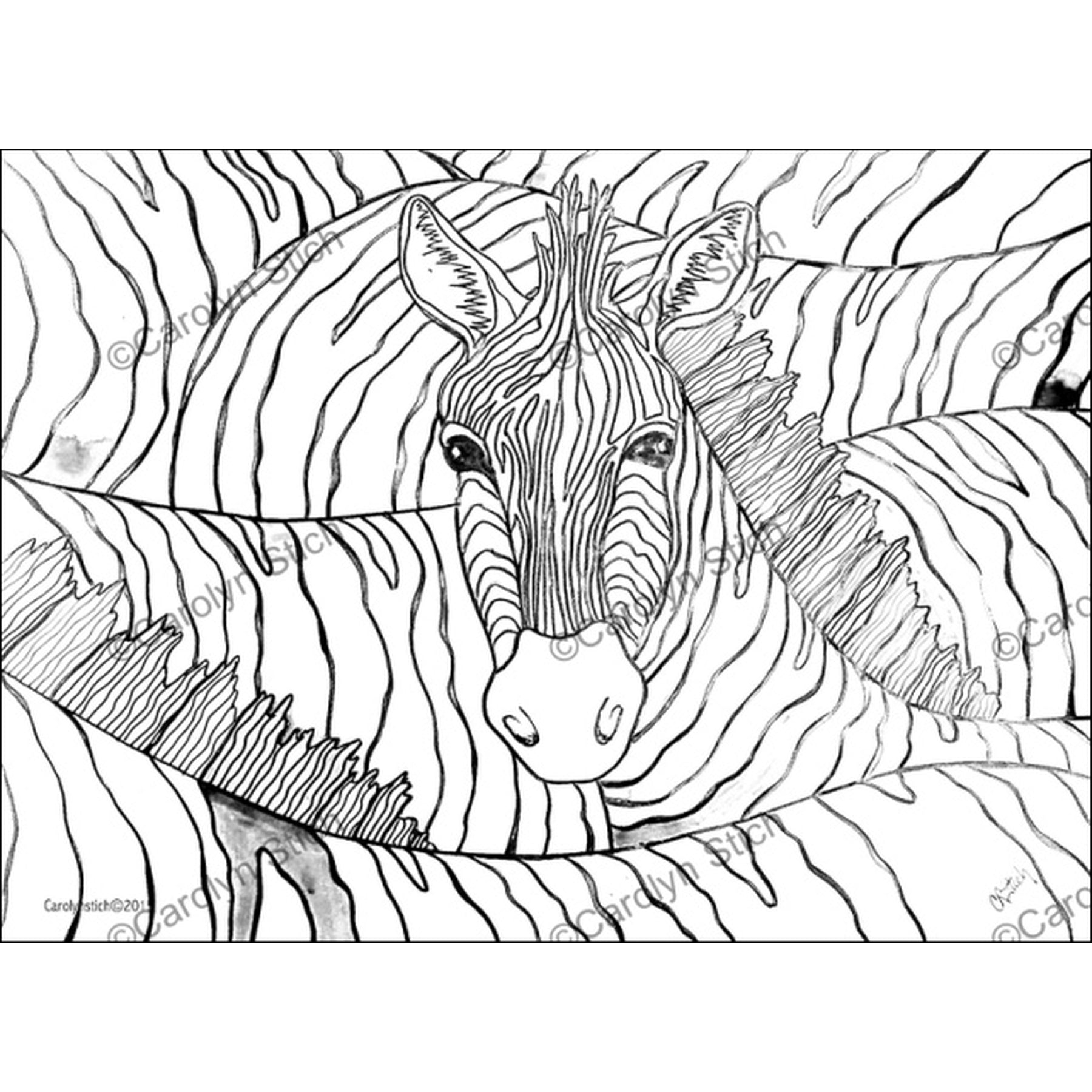 Zebra, rug hooking pattern