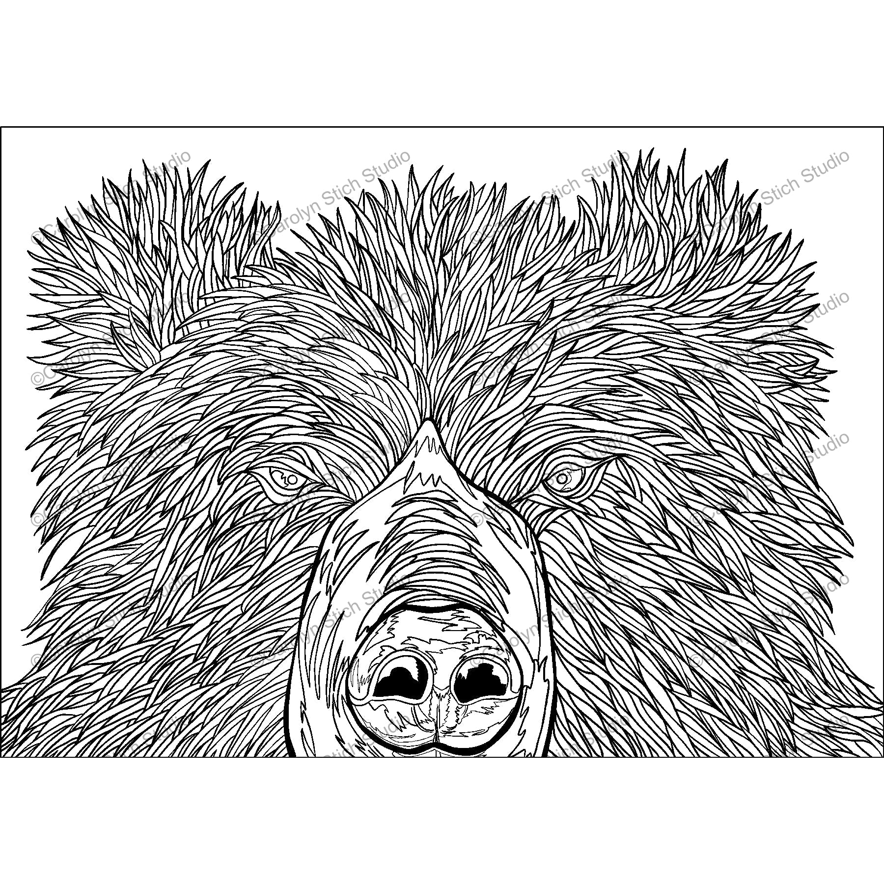 Bear, rug hooking pattern