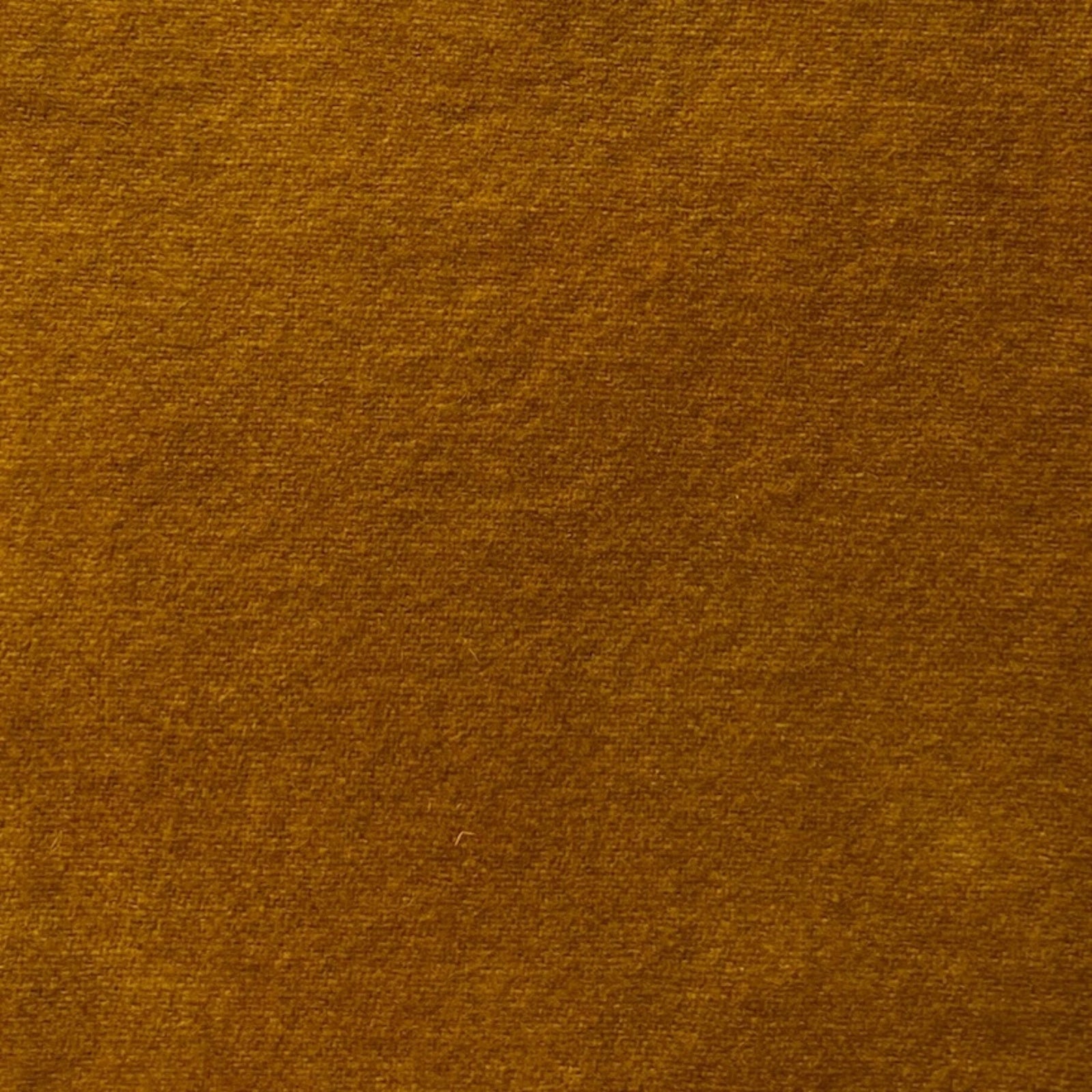 Monarch - Colorama Hand Dyed Wool - Offered by HoneyBee Hive Rug Hooking