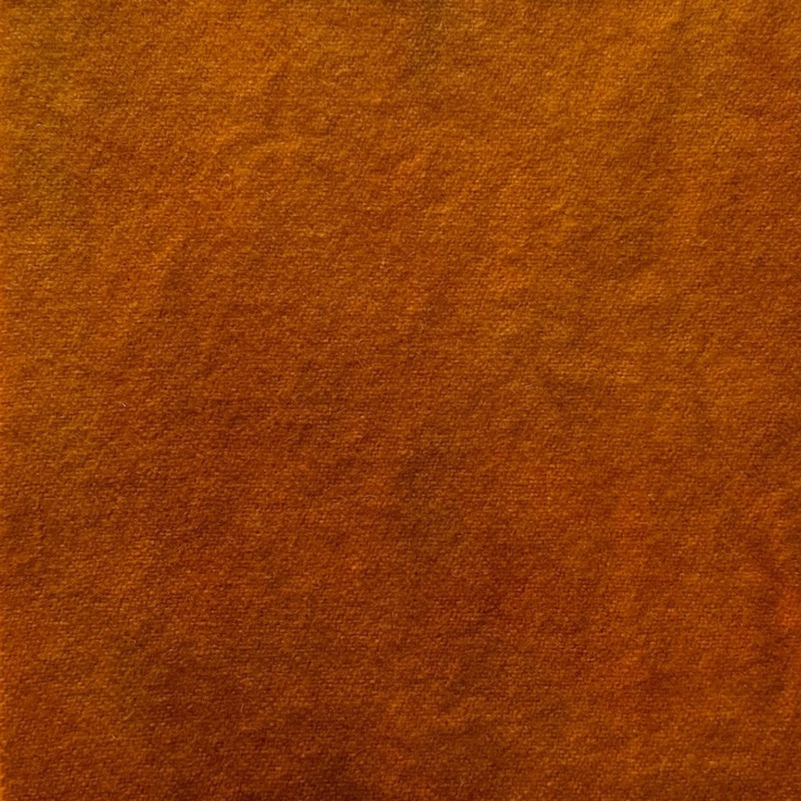 Golden Pheasant - Colorama Hand Dyed Wool - Offered by HoneyBee Hive Rug Hooking