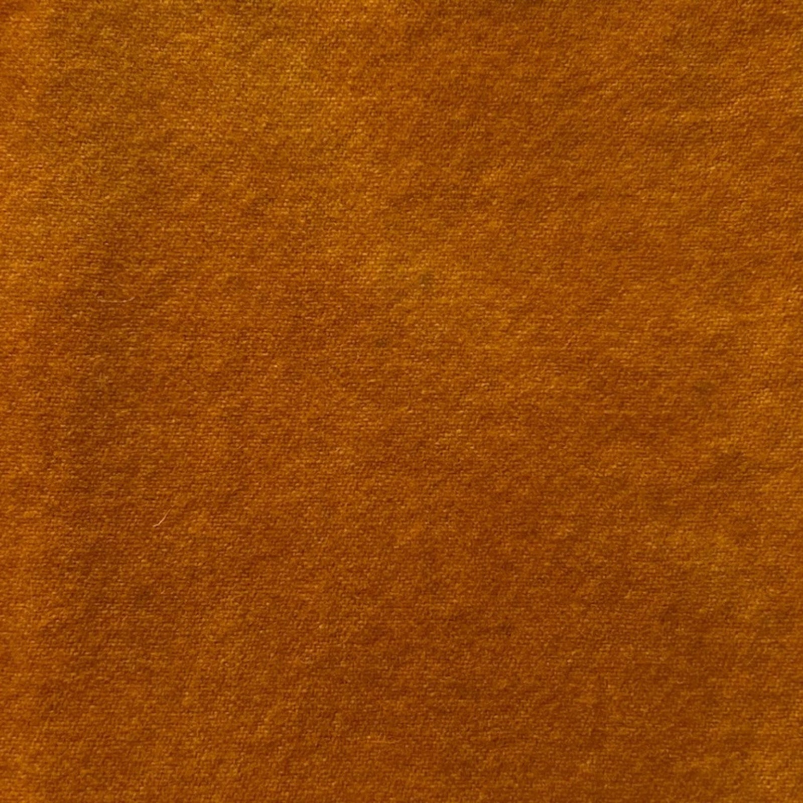 Buttercream Medium - Colorama Hand Dyed Wool - Offered by HoneyBee Hive Rug Hooking