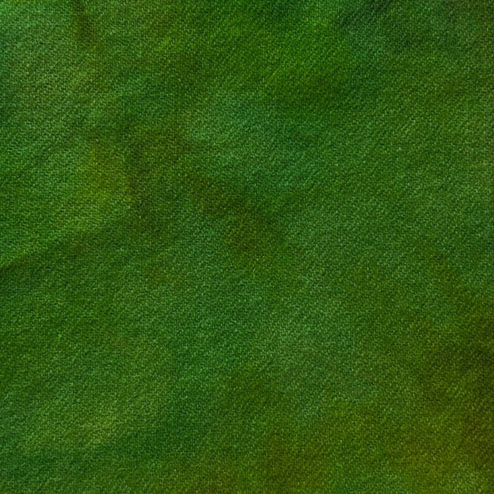 Pickle - Colorama Hand Dyed Wool - Offered by HoneyBee Hive Rug Hooking