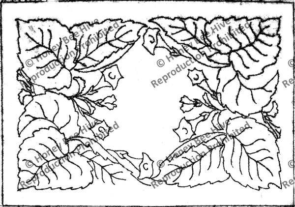 FS501: Virginia, Offered by Honey Bee Hive