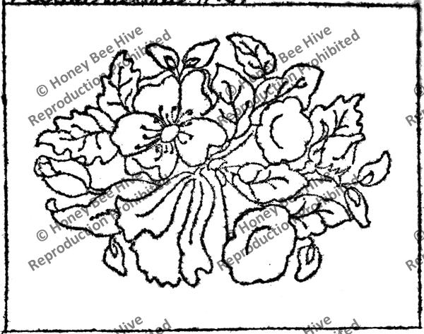 FS522: Adelaide, Offered by Honey Bee Hive