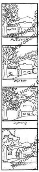 P527: Four Seasons Bell Pull, Offered by Honey Bee Hive