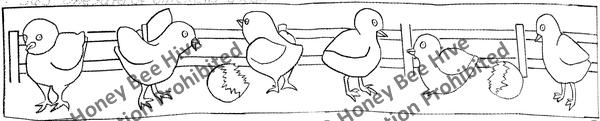 P563: One Yard of Chicks, Offered by Honey Bee Hive