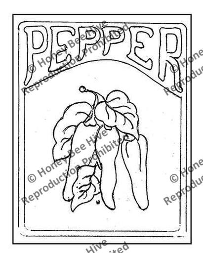 P568: Pepper, Offered by Honey Bee Hive