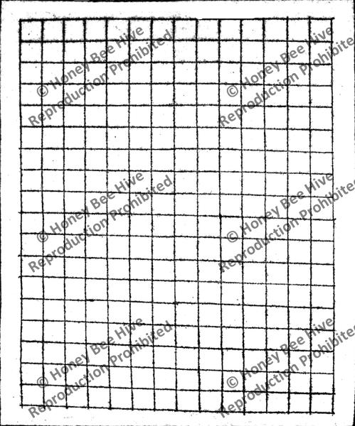 P688: Grid, Offered by Honey Bee Hive