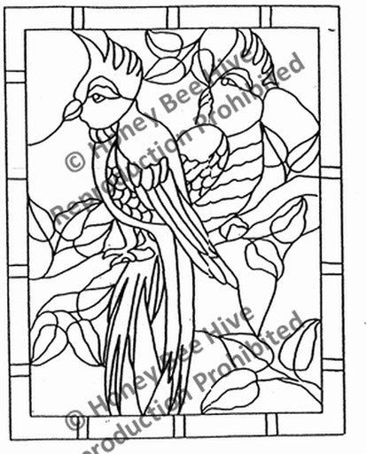 P854: Jungle Birds, Offered by Honey Bee Hive