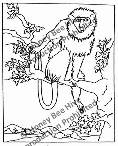 P868: Monkey See, Offered by Honey Bee Hive