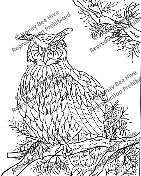 P887: Who Goes There?, Offered by Honey Bee Hive