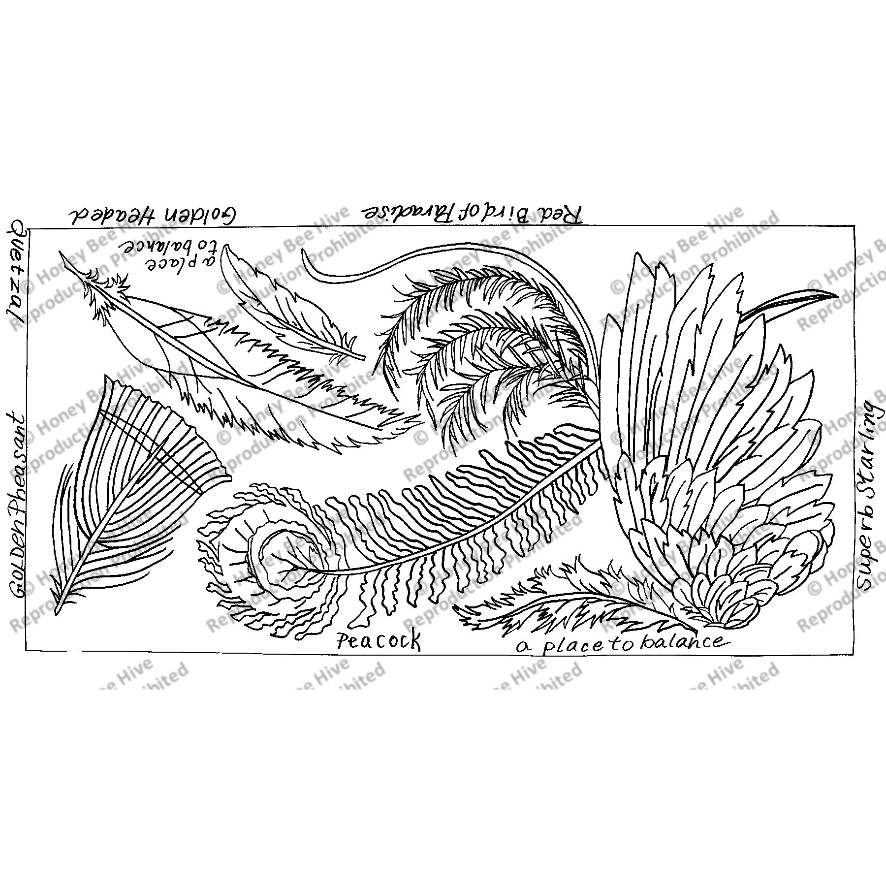 A Feather Sampler, rug hooking pattern