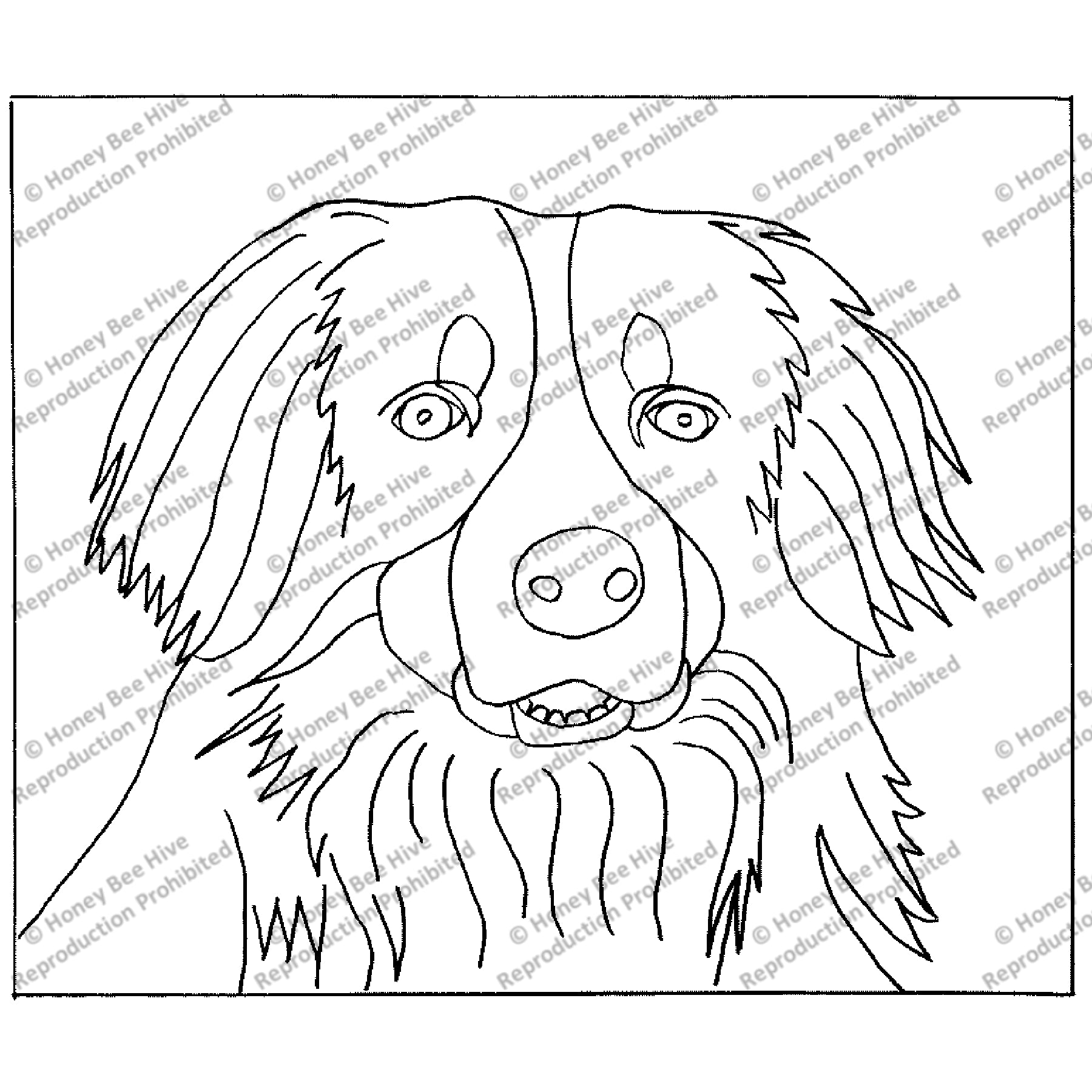 Bernese Mountain Dog, rug hooking pattern