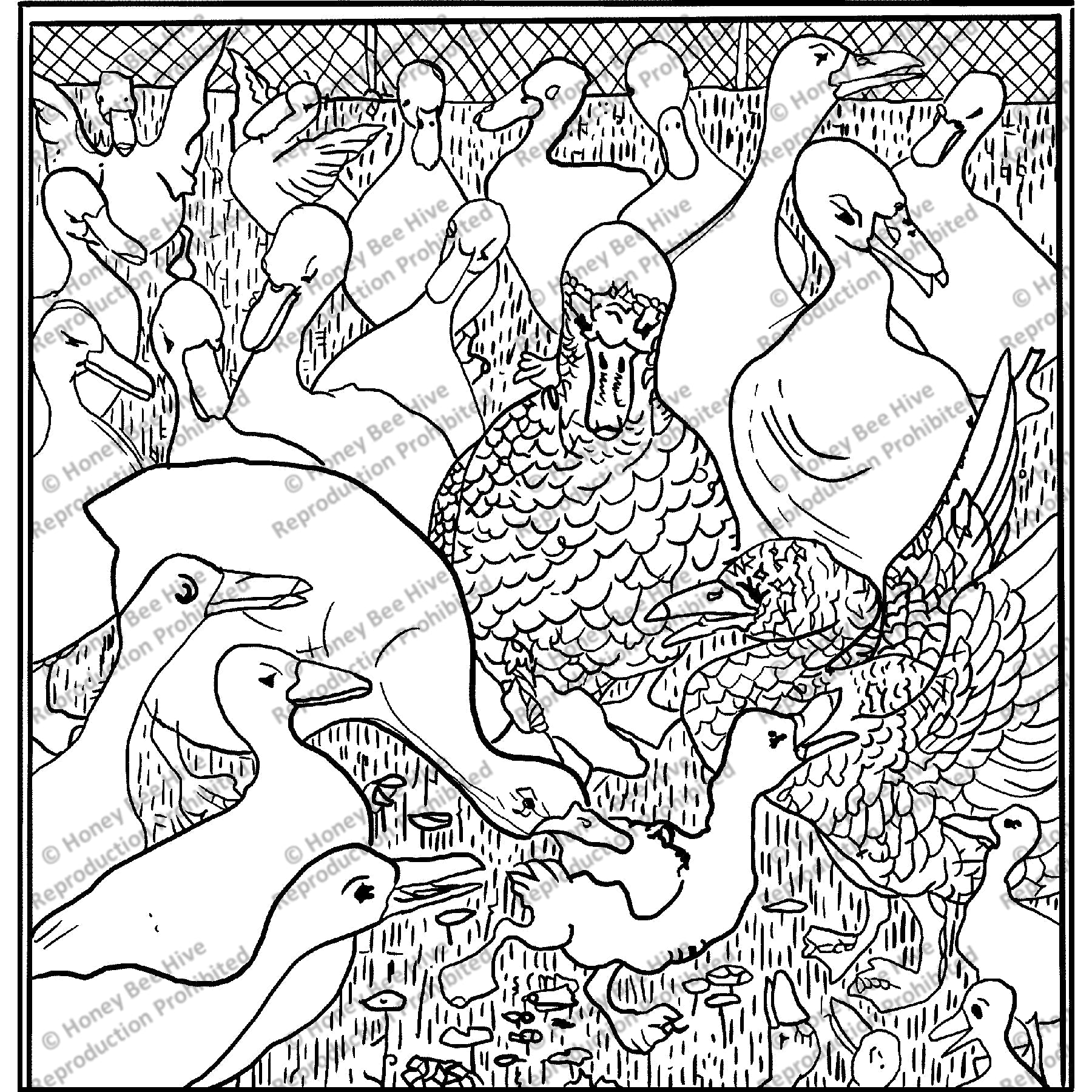 The Ugly Duckling, ill. Theodorus van Hoytema, 1894, rug hooking pattern