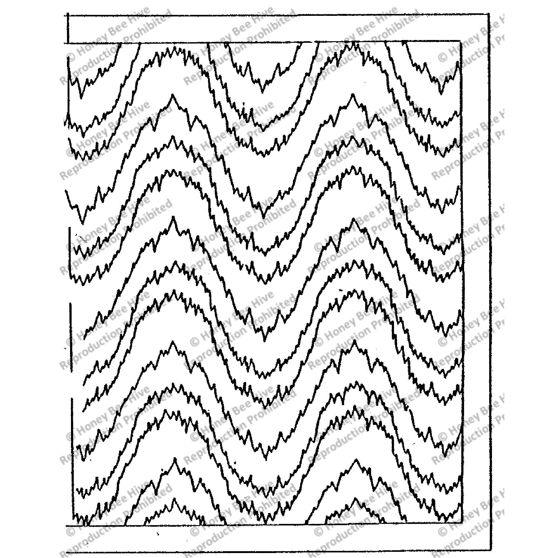 Bargello, rug hooking pattern