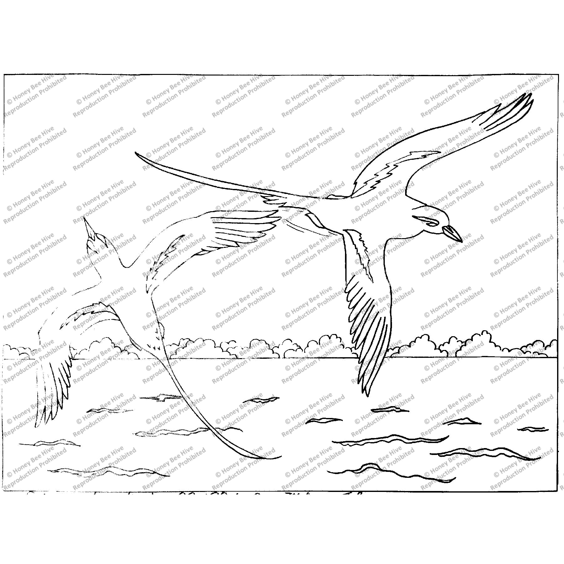 Soaring Longtails, rug hooking pattern
