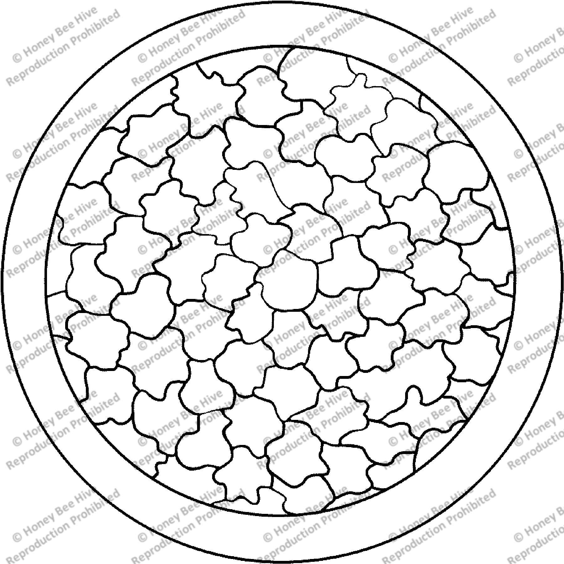 Stepping Stones, rug hooking pattern