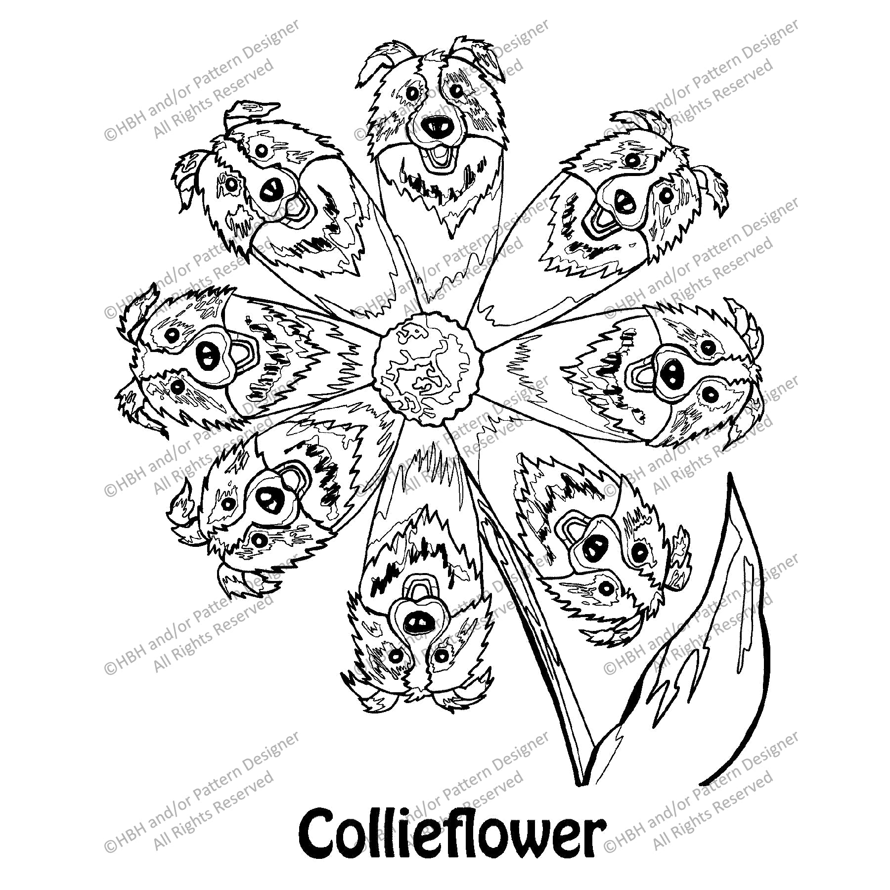 Collieflower, rug hooking pattern