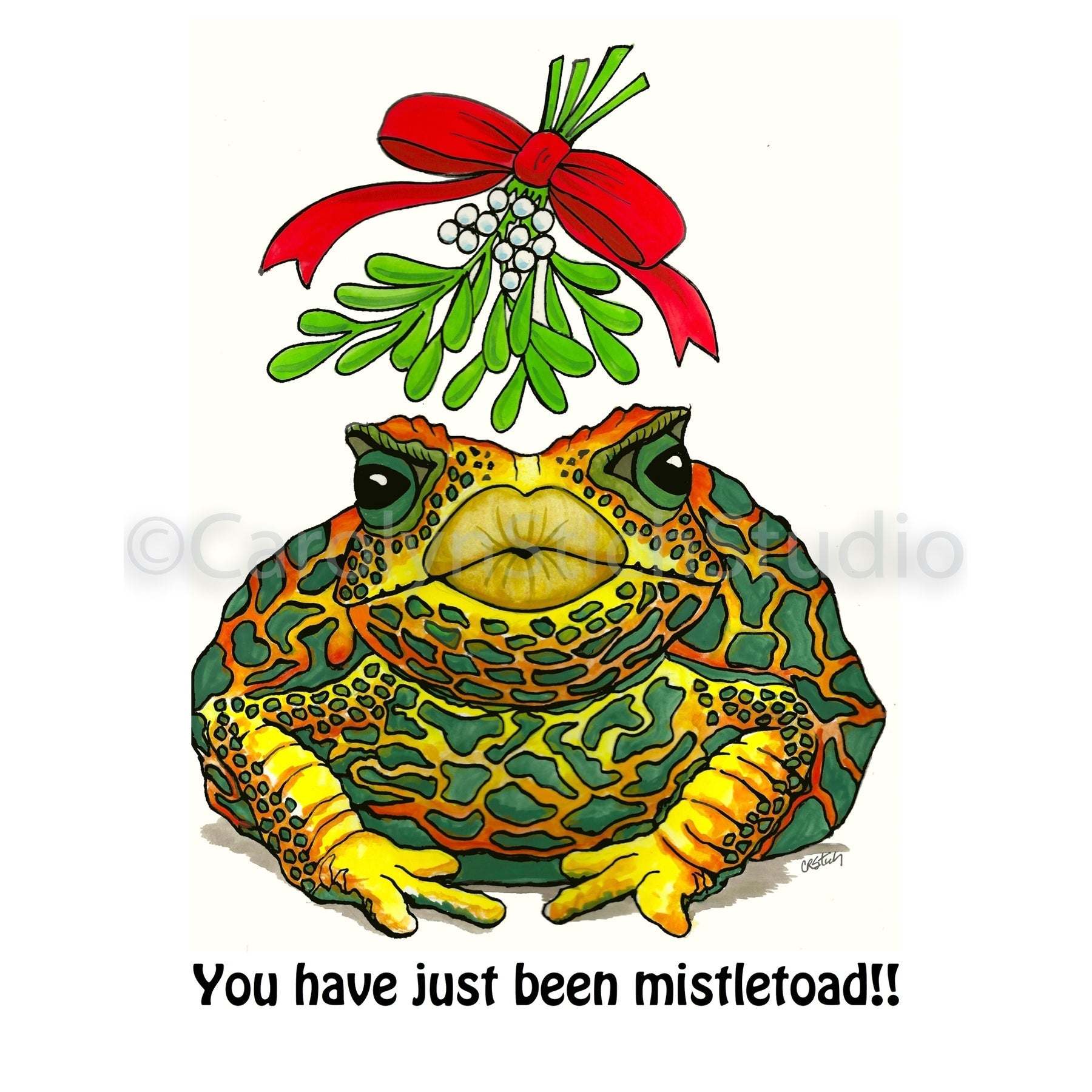 Mistletoad, rug hooking pattern