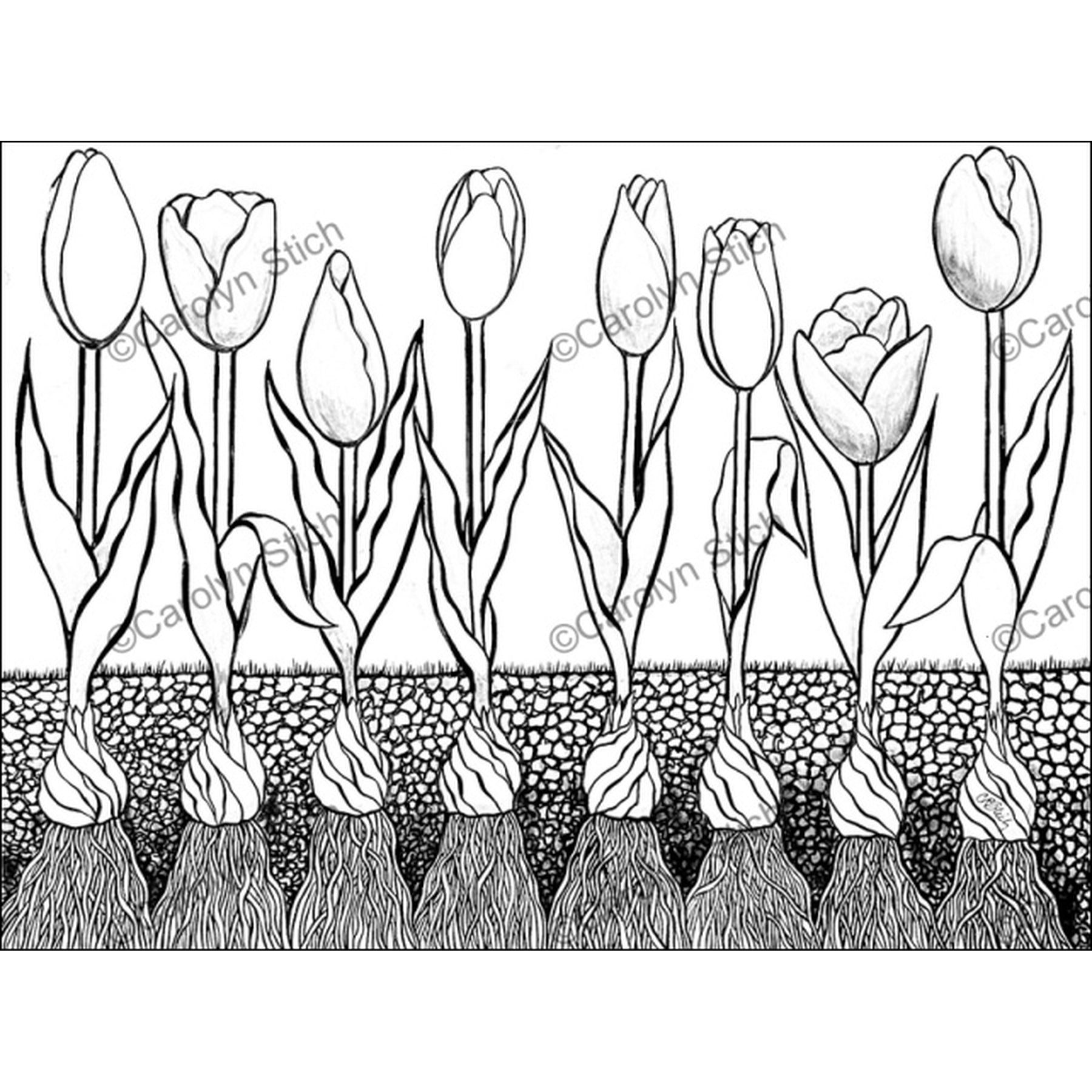 Renewal, rug hooking pattern