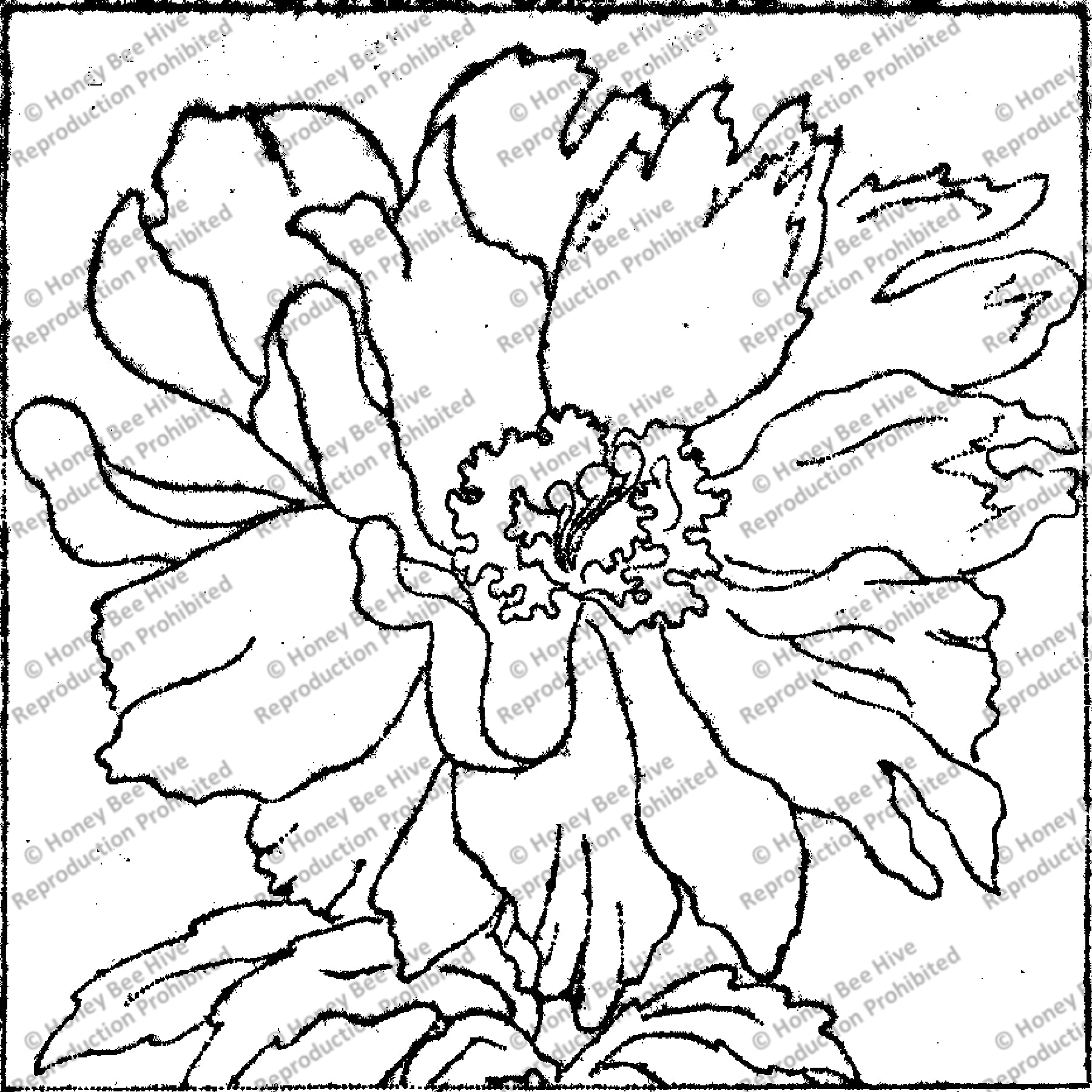 Chineses Peony, rug hooking pattern