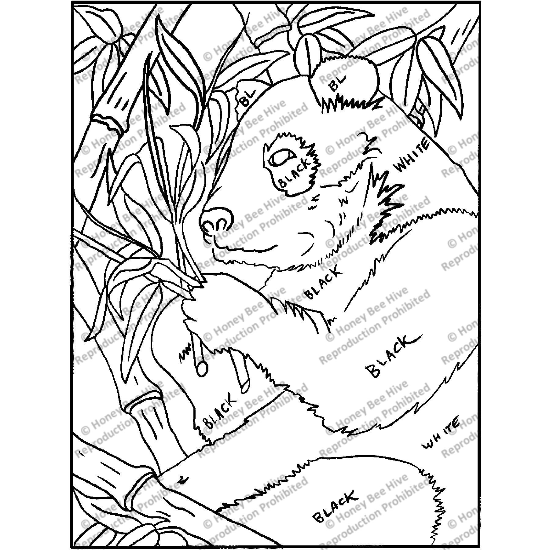 Pan-Deh Panda, rug hooking pattern