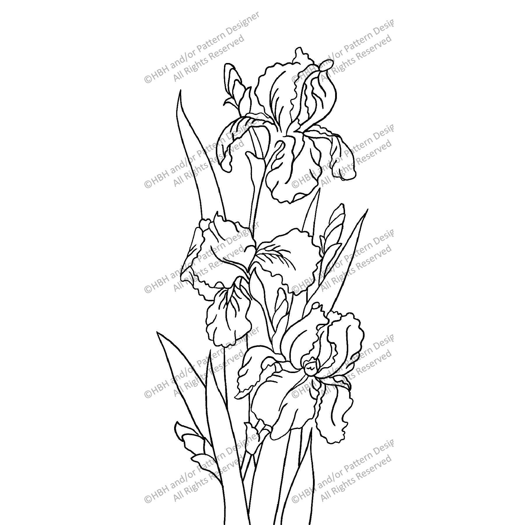 Iris Panel, rug hooking pattern