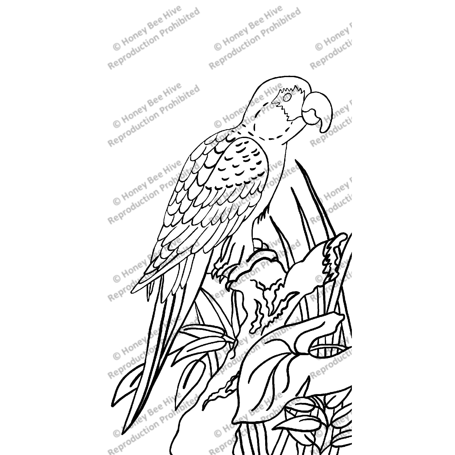 Macaw, rug hooking pattern