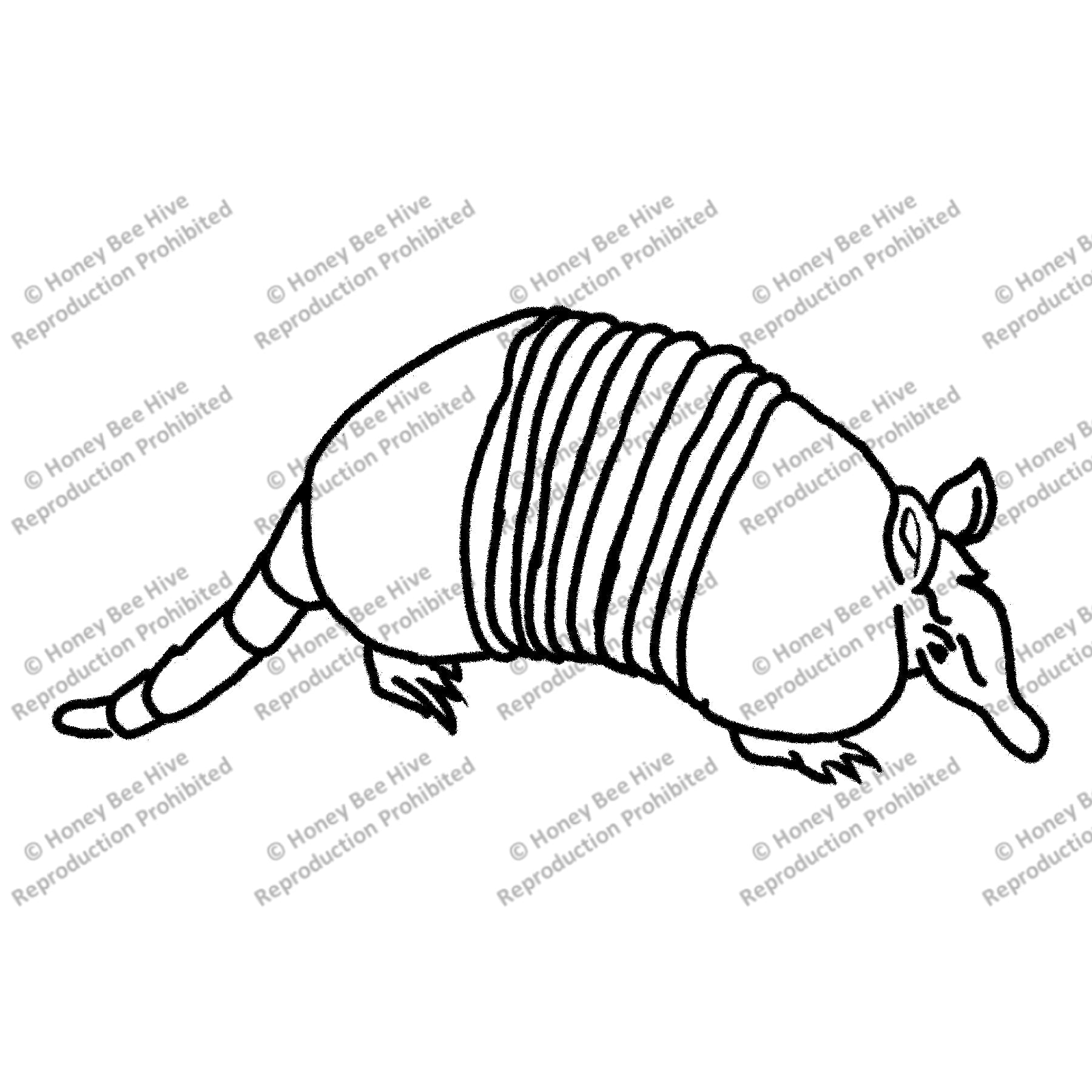 Armadillo, rug hooking pattern