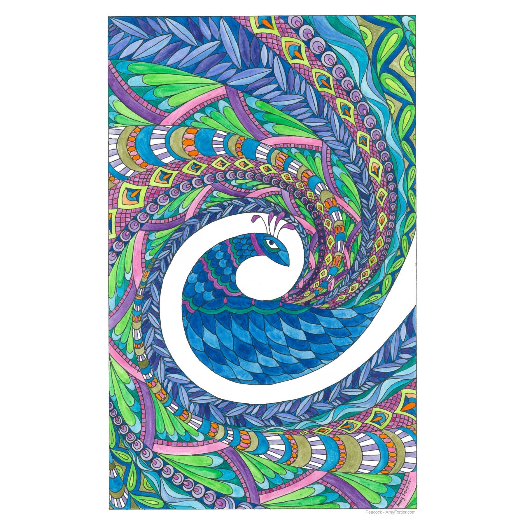 Peacock, rug hooking pattern