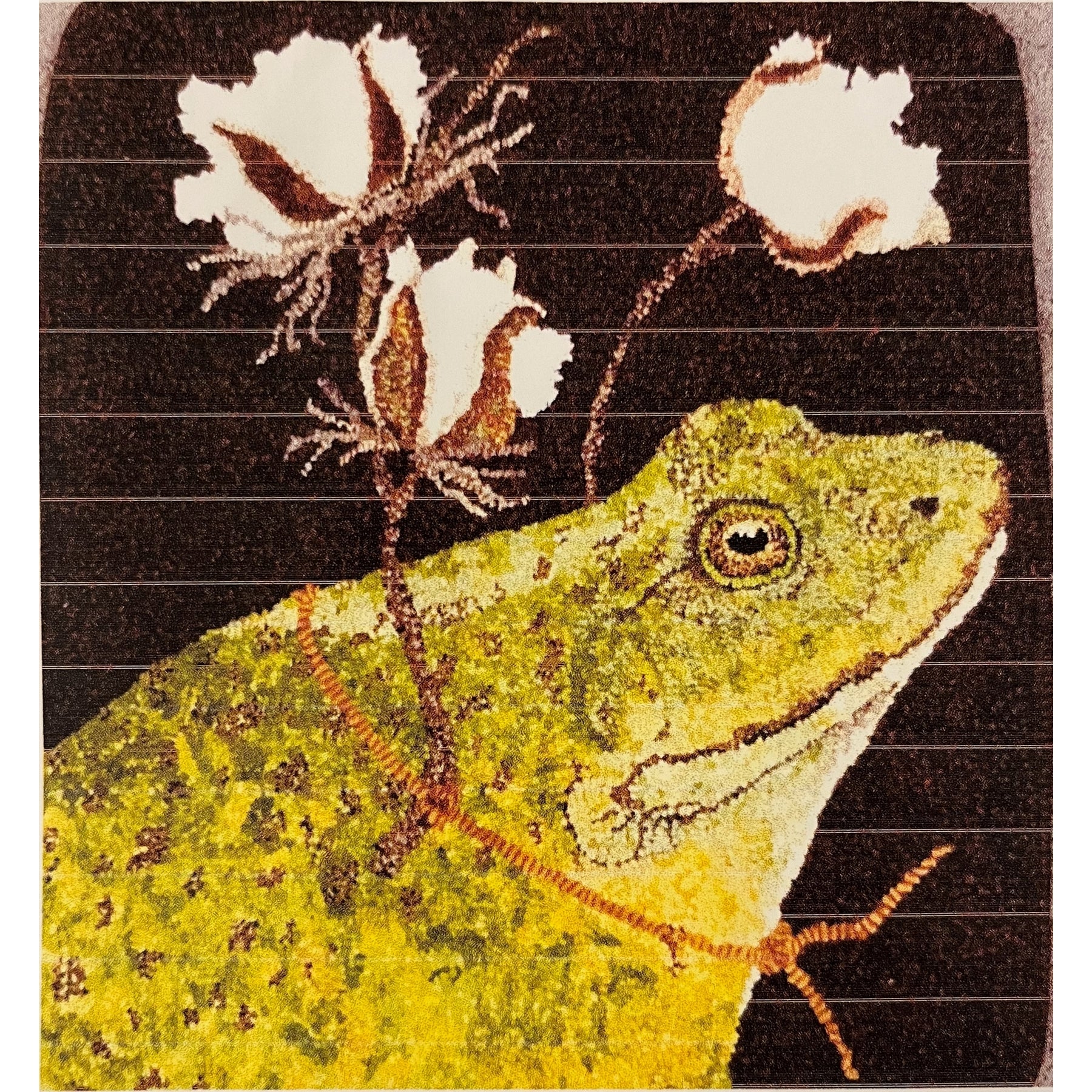 Southern Bull Frog, rug hooking pattern