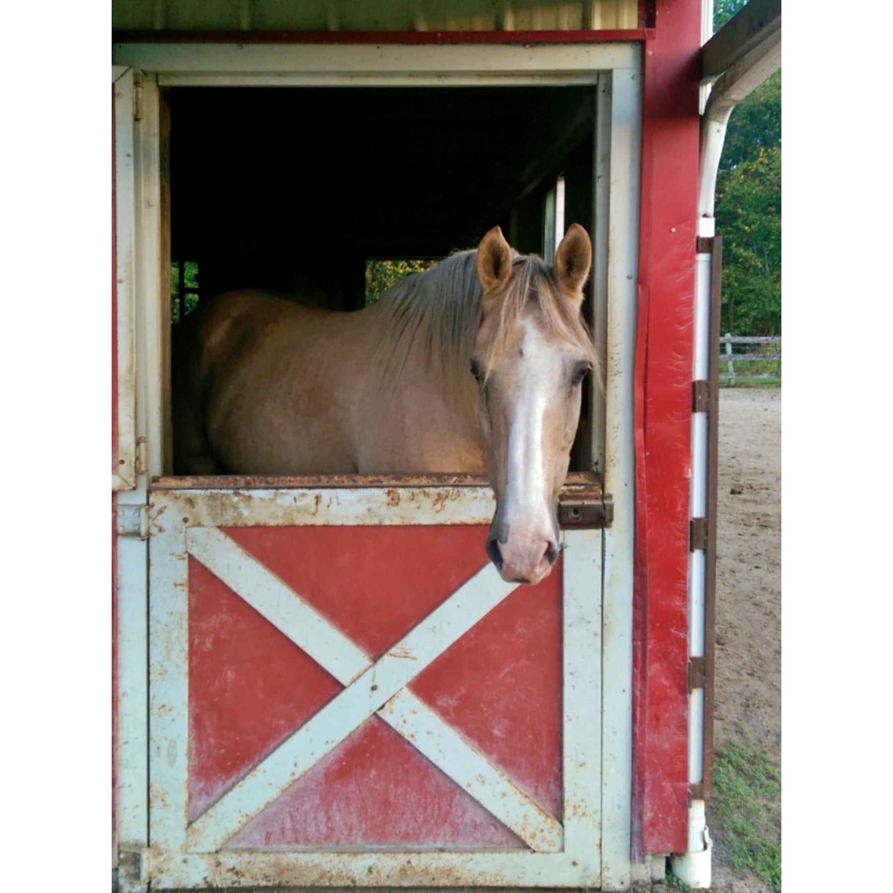 My Horse in the Stall, rug hooking pattern